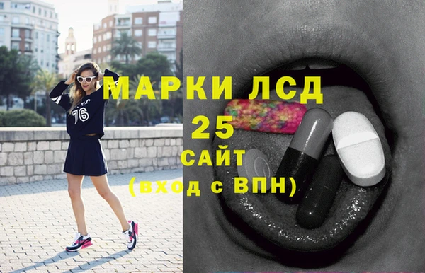 ECSTASY Богданович