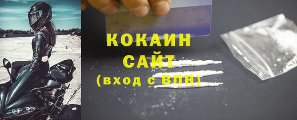 ECSTASY Богданович