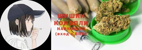 ECSTASY Богданович