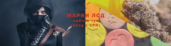 ECSTASY Богданович