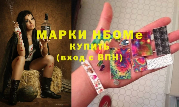 ECSTASY Богданович