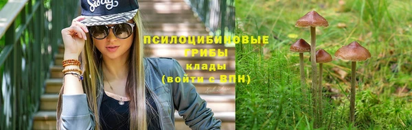 MESCALINE Богородицк