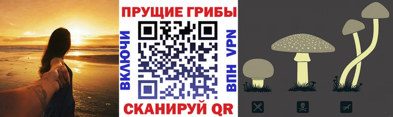 продажа наркотиков  Наро-Фоминск  Галлюциногенные грибы мухоморы 
